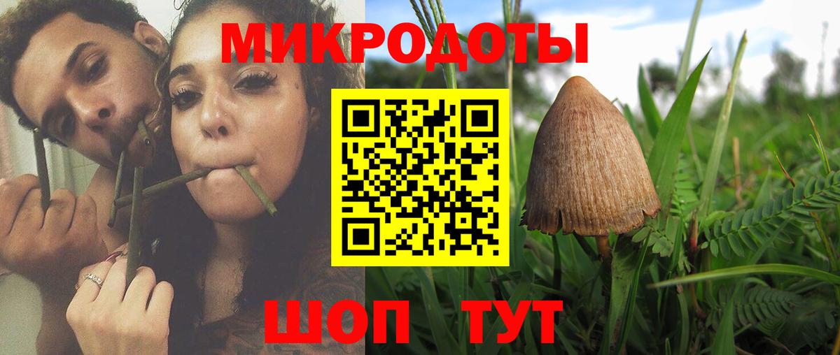 Псилоцибиновые грибы Magic Shrooms Родники